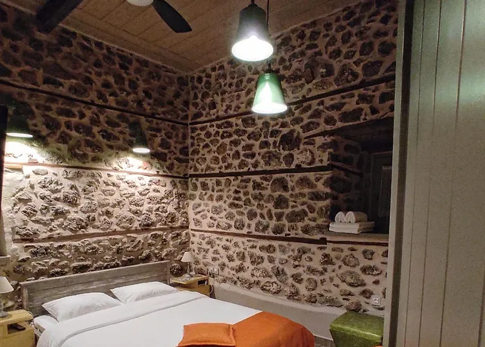 Guest house Bayiri Petit 4*