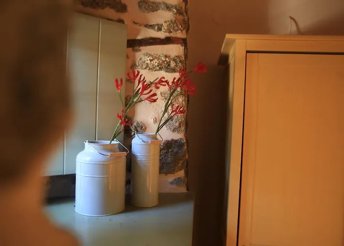 Guest house Bayiri Petit 4*