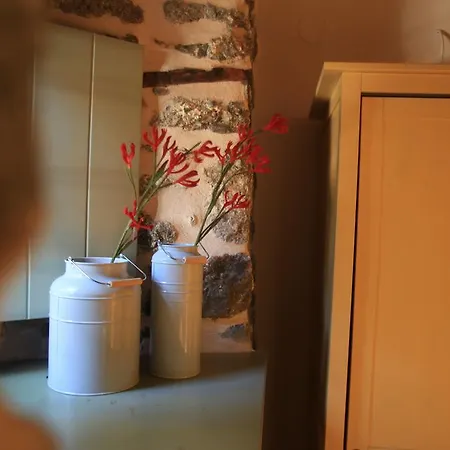 Гостевой дом Bayiri Petit 4*